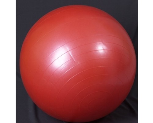 Мяч гимнастический (фитбол) Ортосила L 0165 b

